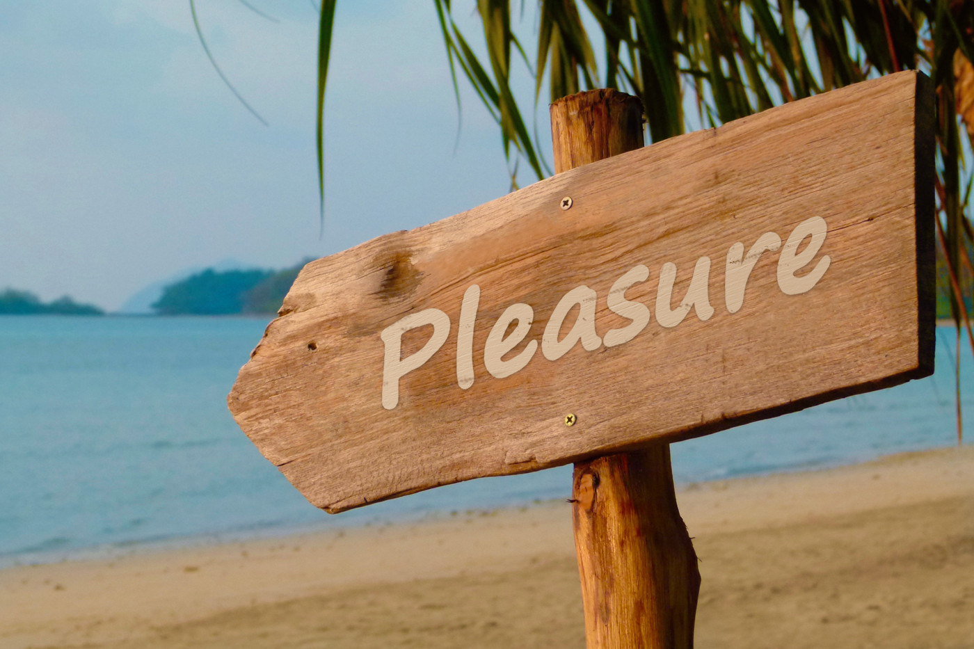 Pleasure PhotoFunia-1639228163