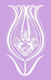 White Cuntflower 220x340